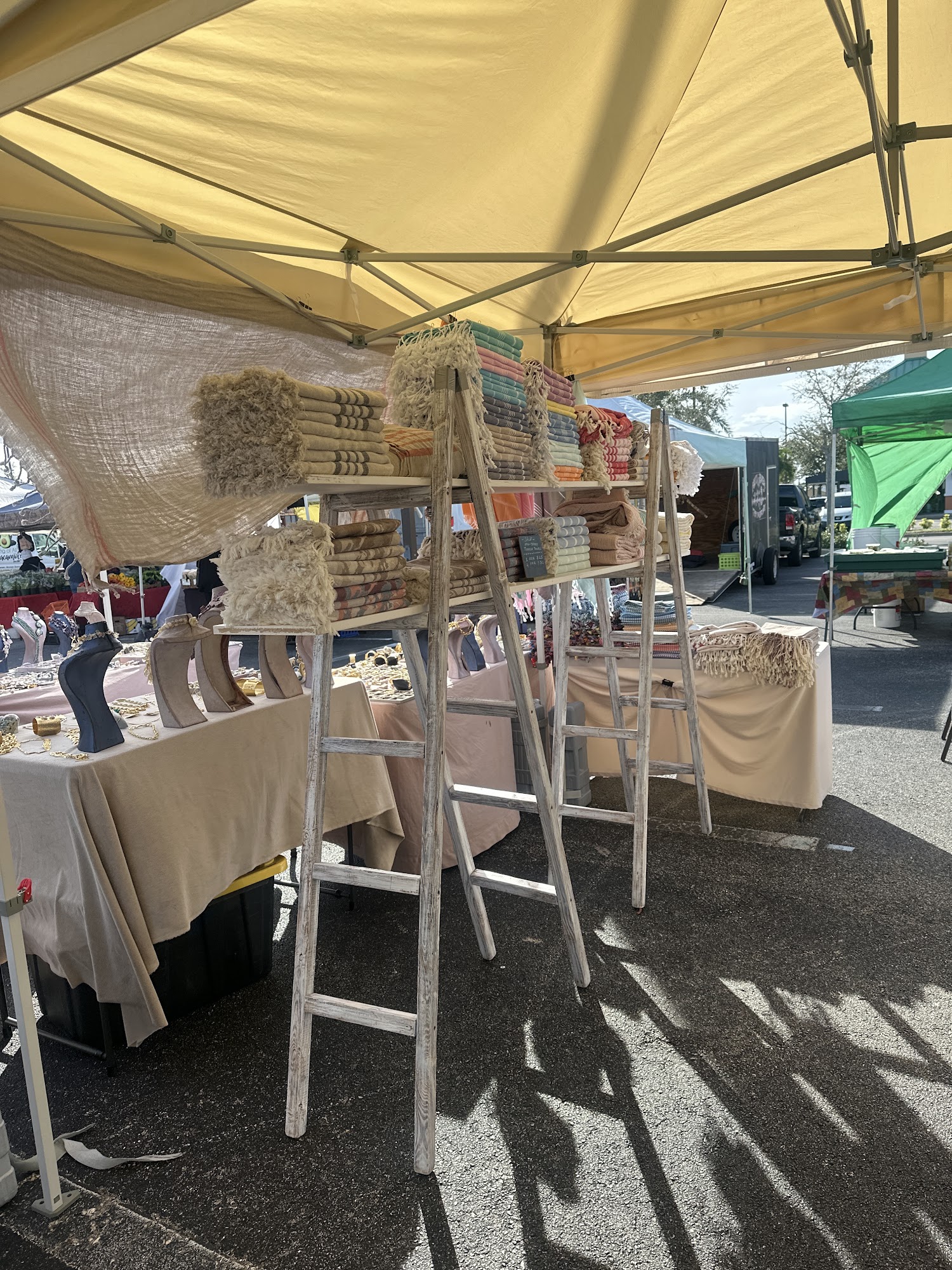Authentic Cotton Naples